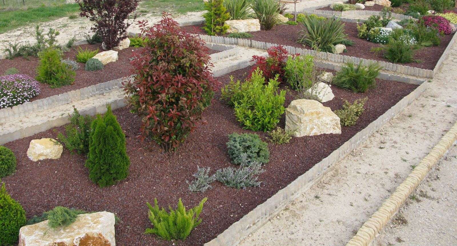 drought-resistant landscape